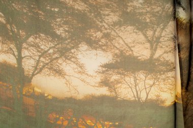 Kumaş ipek doğal doku