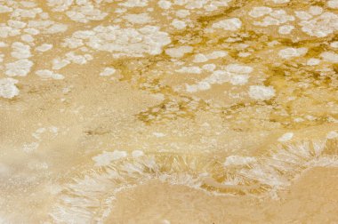 Tuz bataklıkları doku.