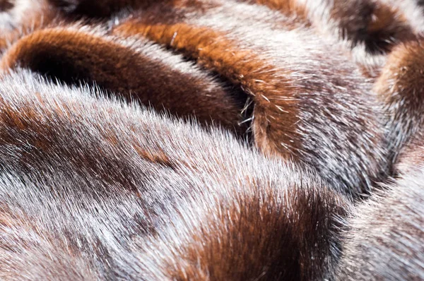 Texture. Mink fur. mink coat — Stock Photo, Image
