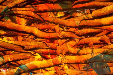 Khaziev Madiyar Sharipovich Tataristan Sanatçısı. resim