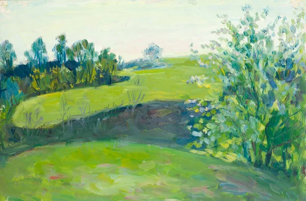 Quadro pintado pinta paisagem de verão, campo de inverno . — Fotografia de Stock