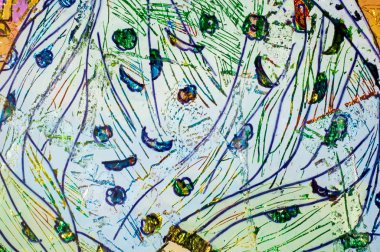 renkli folyo, oryantal kadın, Arap kadın, uygulama bir 