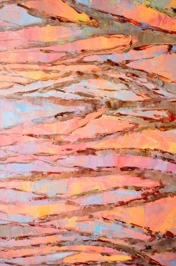 Natalia Babkina ressamı, yağlı boyalarla boyanmış resim. kaslar