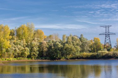 Avrupa 'nın kırsal kesimlerinde, bir sonbahar günü, yerel Avrupa ağaçlarının ve bitki örtüsünün üzerinde yükselen yüksek voltajlı elektrik iletim kulelerinin panoramik görüntüsü