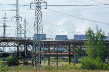 Teknolojik manzara, yüksek voltajlı elektrik hatları. Buradaki doğal kompleks bitkilerin varoluş süresi boyunca yoğun bir teknojenik etkiye maruz kalmıştır.