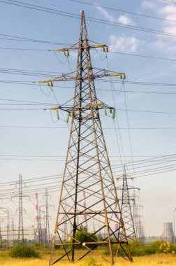 Teknolojik manzara, yüksek voltajlı elektrik hatları. Buradaki doğal kompleks bitkilerin varoluş süresi boyunca yoğun bir teknojenik etkiye maruz kalmıştır.