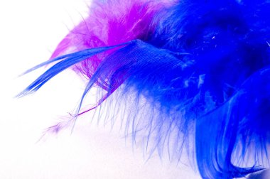 Doku, arka plan, çizim. tüylü kuş maviye boyanmış. Herhangi bir tasarım veya aksesuar için harika bir ek, en temel moda uygulamalarına glam eklemek için mükemmel.