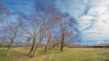 Sonbahar kış manzarası, Kasım. Ay sonuna kadar. Üzücü, kasvetli bir mevsim, doğa karı bekliyor.,