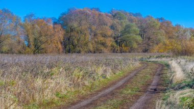 Sonbahar fotoğrafçılığı, nehrin taşkın ovası, ama şimdiye kadar sadece sonbahar altın, ne yağmur ne de rüzgar var, ve altın yaprak yeryüzüne uçuyor, ruhun özlemle doluyor..