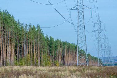 Avrupa 'nın kırsal kesimlerinde, bir sonbahar günü, yerel Avrupa ağaçlarının ve bitki örtüsünün üzerinde yükselen yüksek voltajlı elektrik iletim kulelerinin panoramik görüntüsü