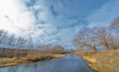 Sonbahar kış manzarası, Kasım. Ay sonuna kadar. Üzücü, kasvetli bir mevsim, doğa karı bekliyor.,