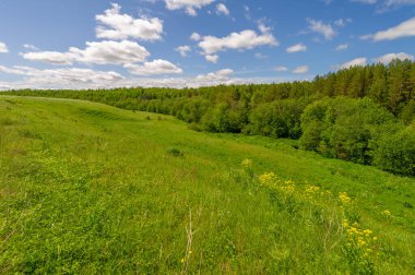 İlkbahar fotoğrafçılığı, çayırlar, tarlalar, vadiler, tepeler, kırsal alanlar..