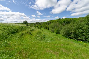 İlkbahar fotoğrafçılığı, çayırlar, tarlalar, vadiler, tepeler, kırsal alanlar..