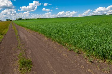 Yaz fotoğrafçılığı, buğday, ekmek, makarna, şekerleme ve benzeri ürünler için un üretmek için kullanılan ılıman ülkelerde yetişen en en önemli bitkidir.. 