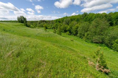 İlkbahar fotoğrafçılığı, çayırlar, tarlalar, vadiler, tepeler, kırsal alanlar..