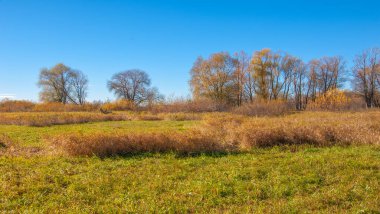 Sonbahar fotoğrafçılığı, nehrin taşkın ovası, ama şimdiye kadar sadece sonbahar altın, ne yağmur ne de rüzgar var, ve altın yaprak yeryüzüne uçuyor, ruhun özlemle doluyor..