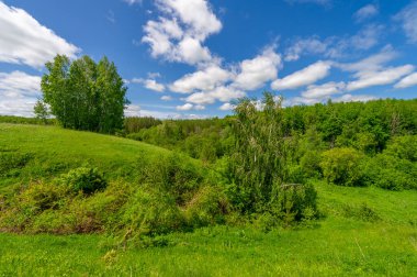 İlkbahar fotoğrafçılığı, çayırlar, tarlalar, vadiler, tepeler, kırsal alanlar..