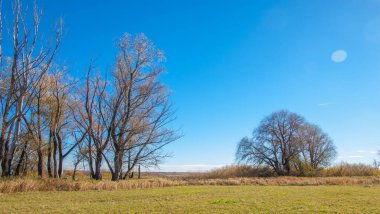 Sonbahar fotoğrafçılığı, nehrin taşkın ovası, ama şimdiye kadar sadece sonbahar altın, ne yağmur ne de rüzgar var, ve altın yaprak yeryüzüne uçuyor, ruhun özlemle doluyor..