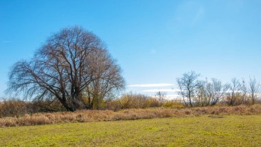 Sonbahar fotoğrafçılığı, nehrin taşkın ovası, ama şimdiye kadar sadece sonbahar altın, ne yağmur ne de rüzgar var, ve altın yaprak yeryüzüne uçuyor, ruhun özlemle doluyor..