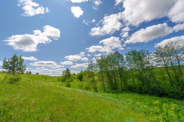 İlkbahar fotoğrafçılığı, çayırlar, tarlalar, vadiler, tepeler, kırsal alanlar..