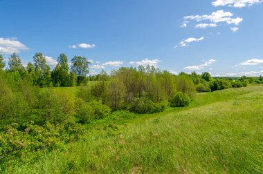 İlkbahar fotoğrafçılığı, çayırlar, tarlalar, vadiler, tepeler, kırsal alanlar..