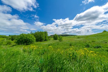 İlkbahar fotoğrafçılığı, çayırlar, tarlalar, vadiler, tepeler, kırsal alanlar..