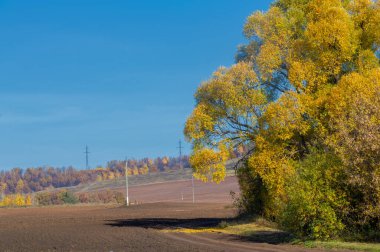 Sonbahar manzarası, yaprak döken ağaçlar çok renkli sarı kırmızı yapraklarla kaplı, toprak kış mevsimi için sürülmüş, gözlerin hüzünlü zamanı büyüleyici.