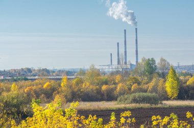 Sonbahar manzara fotoğrafçılığı, en iyi fotoğrafçı, sonbahar durumundaki karışık ormanlar, renkli yapraklar, bordo, kırmızı, yeşil, desenli halı.