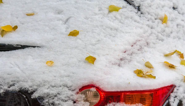 Tenemos Nuestra Primera Nieve Temporada Durante Noche Desempolvando Otoño Con — Foto de Stock