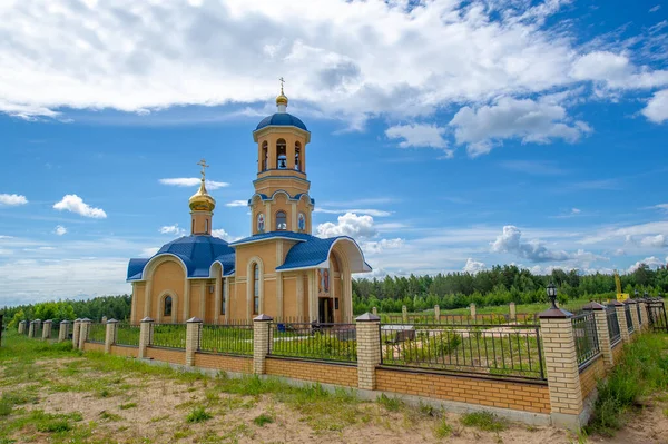 Летний Пейзаж Большая Полноводная Река Луговые Цветы Берегу Реки Могучие — стоковое фото