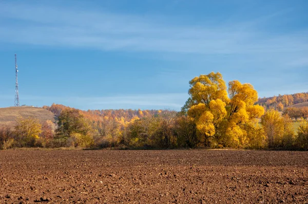 Autumn Landscape Deciduous Trees Covered Multi Colored Yellow Red Leaves — Stock Photo, Image