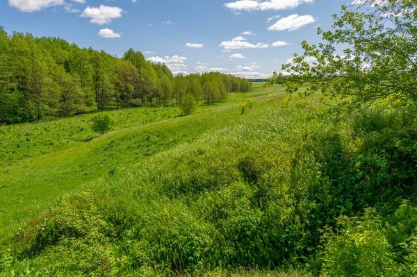 Spring Photography Meadows Fields Ravines Hills Rural Landscape — Stock Photo, Image