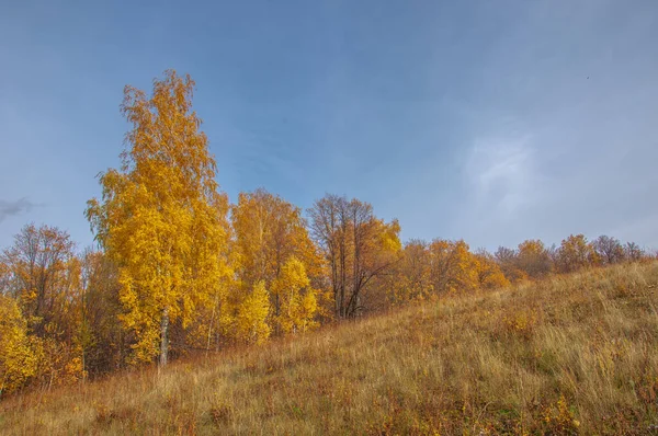 Hösten Landskap Fotografi Bästa Fotograf Blandade Skogar Höst Skick Färgglada — Stockfoto