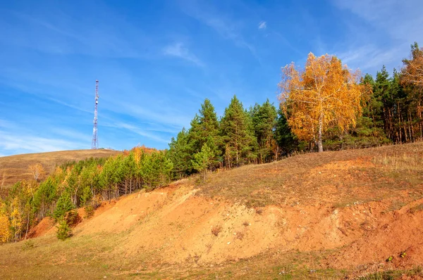 秋の風景写真 最高の写真家 秋の状態で混合森林 カラフルな葉 ブルゴーニュ パターン化されたカーペットで分割 — ストック写真
