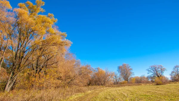 Autumn photography, floodplain of the river, But so far only autumn is golden, No rain or even wind, And the gold leaf flies to the earth, In the soul settles longing.