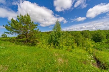 İlkbahar fotoğrafçılığı, çayırlar, tarlalar, vadiler, tepeler, kırsal alanlar..