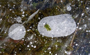 Sokakta buz var, nehirde buz var, buz kabarcıkları buzda sıkışmış, alışılmadık renkte buz mimarisi