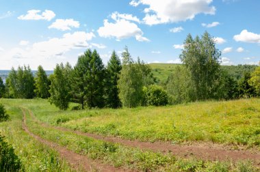 Yaz fotoğrafları, tepeler, tepeler, huş ağaçları dağların yamaçlarında yetişir. Yamaç boyunca dönen toprak bir yol, sıcak yaz günleri.