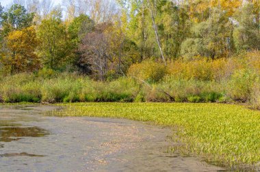 Güzel sonbahar manzarası