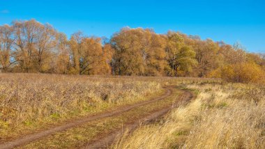 Sonbahar fotoğrafçılığı, nehrin taşkın ovası, ama şimdiye kadar sadece sonbahar altın, ne yağmur ne de rüzgar var, ve altın yaprak yeryüzüne uçuyor, ruhun özlemle doluyor..
