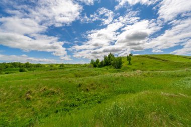 İlkbahar fotoğrafçılığı, çayırlar, tarlalar, vadiler, tepeler, kırsal alanlar..