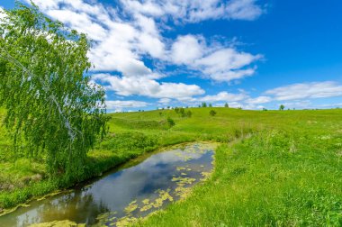 İlkbahar fotoğrafçılığı, çayırlar, tarlalar, vadiler, tepeler, kırsal alanlar..