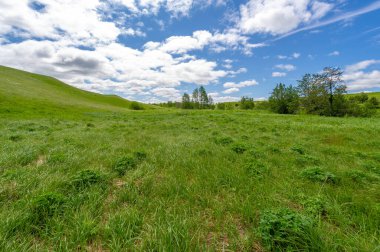 İlkbahar fotoğrafçılığı, çayırlar, tarlalar, vadiler, tepeler, kırsal alanlar..