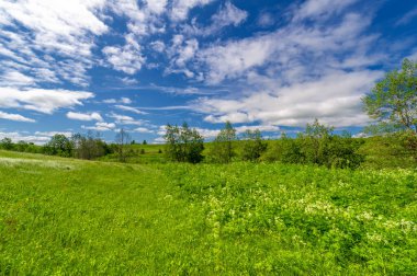 İlkbahar fotoğrafçılığı, çayırlar, tarlalar, vadiler, tepeler, kırsal alanlar..