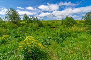 İlkbahar fotoğrafçılığı, çayırlar, tarlalar, vadiler, tepeler, kırsal alanlar..