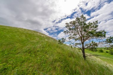 İlkbahar fotoğrafçılığı, çayırlar, tarlalar, vadiler, tepeler, kırsal alanlar..