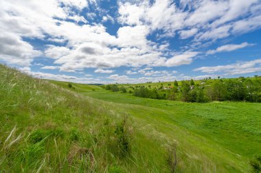 İlkbahar fotoğrafçılığı, çayırlar, tarlalar, vadiler, tepeler, kırsal alanlar..