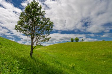 İlkbahar fotoğrafçılığı, çayırlar, tarlalar, vadiler, tepeler, kırsal alanlar..