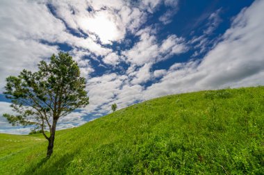 İlkbahar fotoğrafçılığı, çayırlar, tarlalar, vadiler, tepeler, kırsal alanlar..
