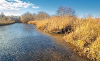Sonbahar kış manzarası, Kasım. Ay sonuna kadar. Üzücü, kasvetli bir mevsim, doğa karı bekliyor.,